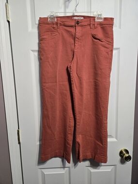 LILA RYAN Rust Red Pants